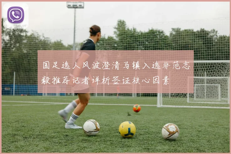 国足选人风波澄清马镇入选非范志毅推荐记者详析签证核心因素